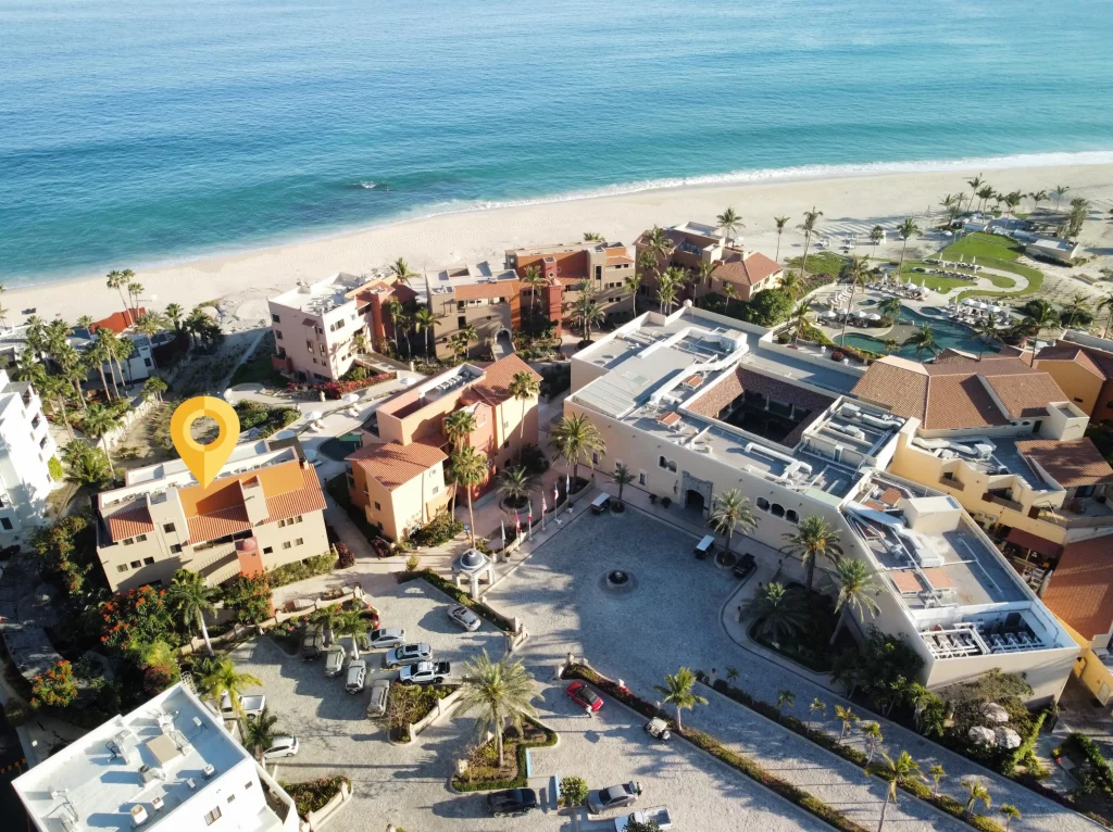 Dream Properties in Palmilla