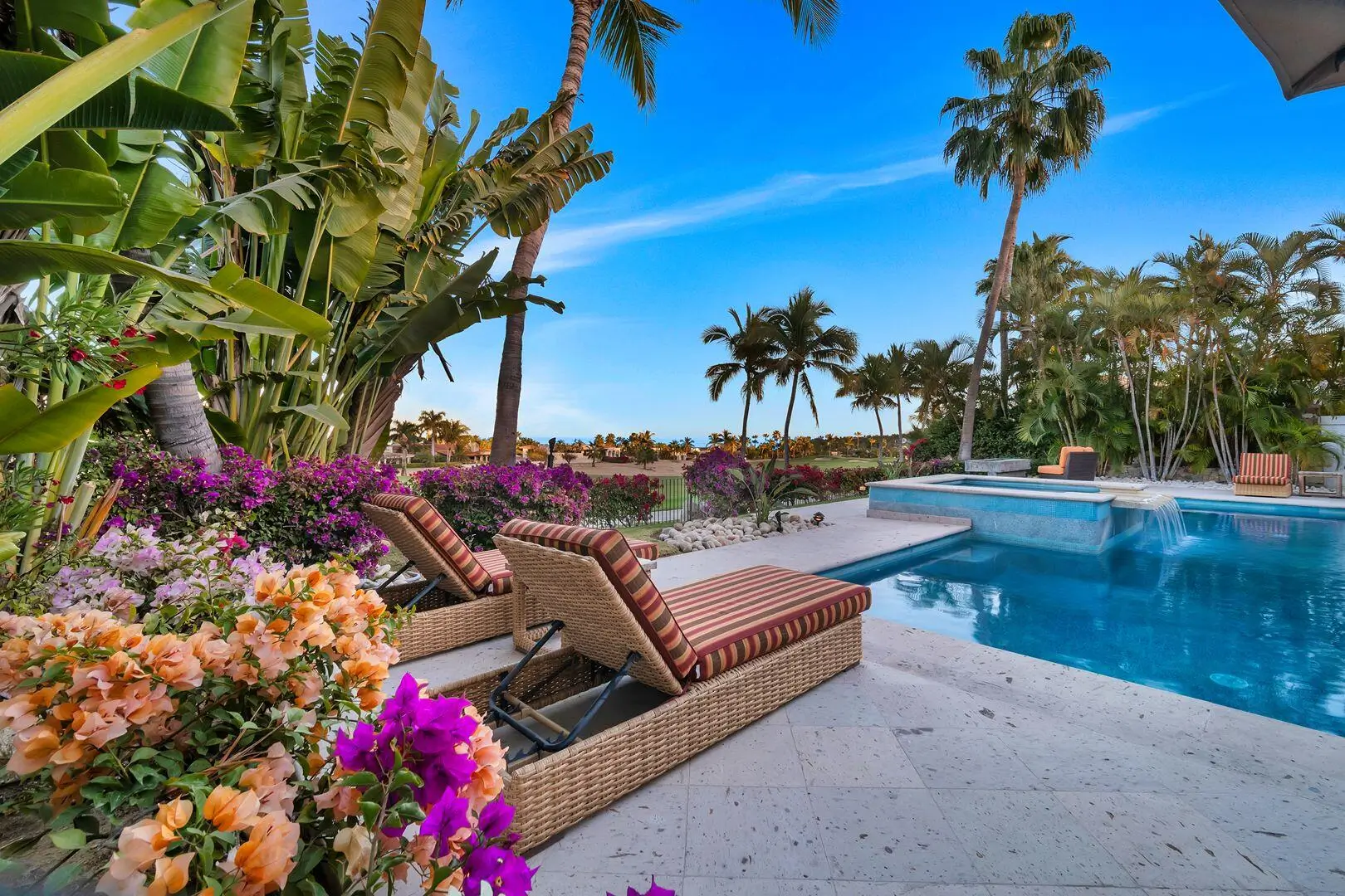 Dream Properties in Palmilla