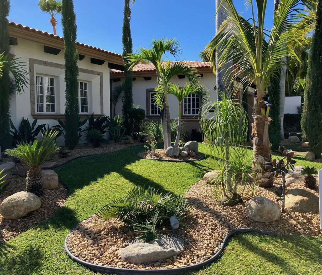 Palmilla Palmilla for sale
