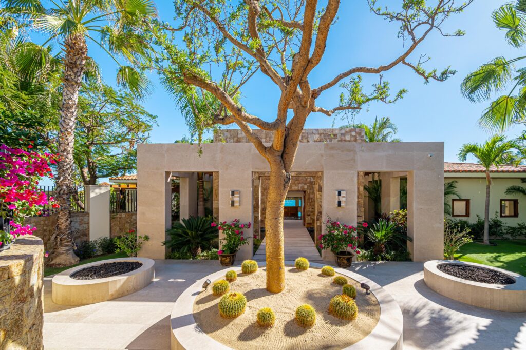 Palmilla Palmilla for sale