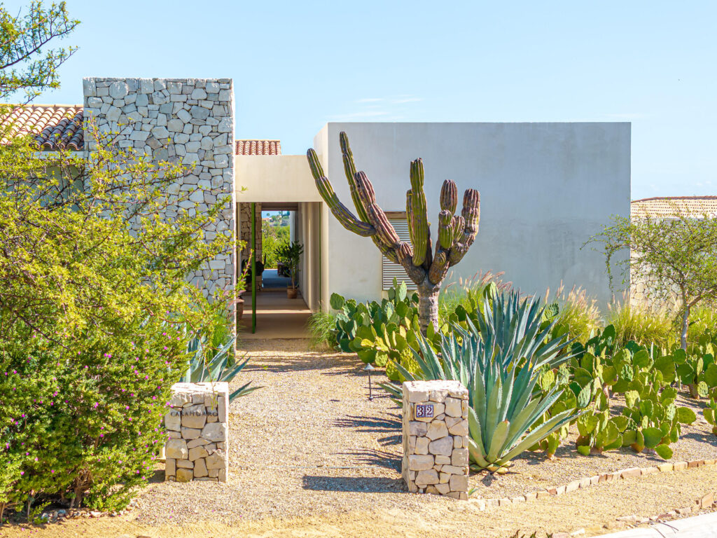 Palmilla Palmilla for sale