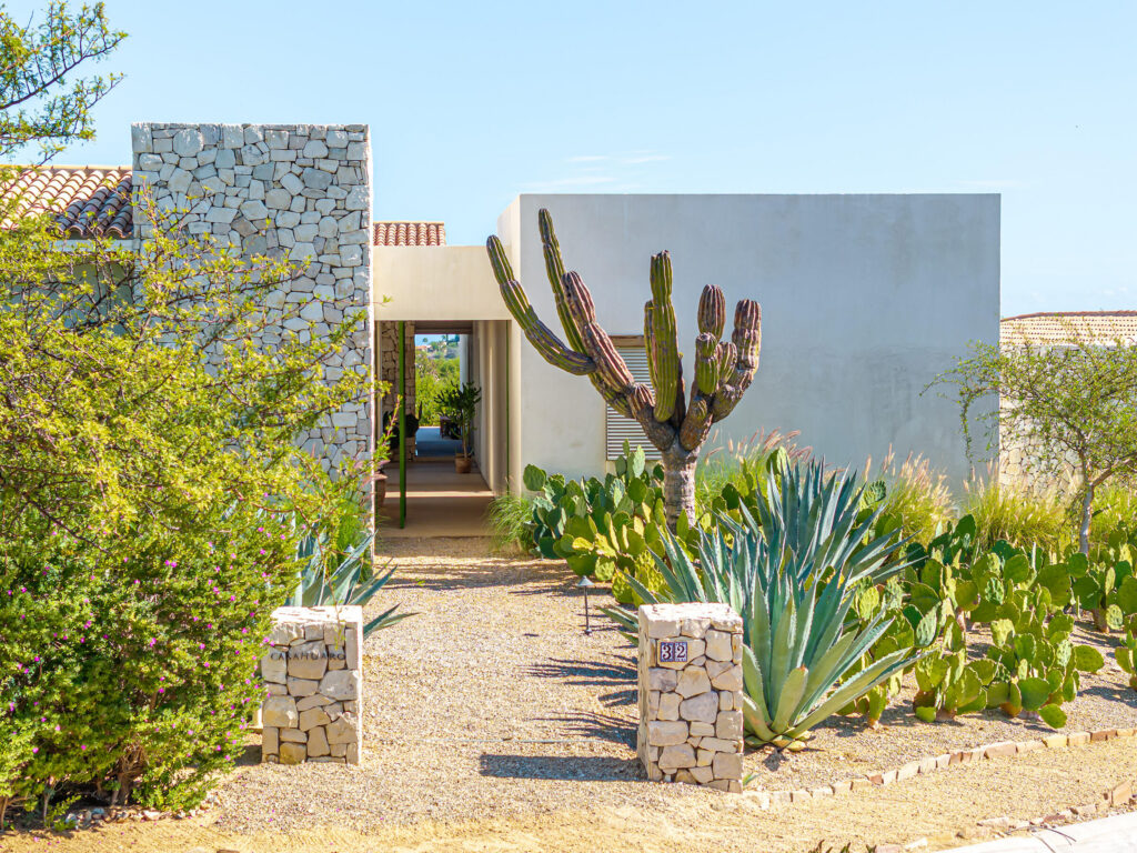 Palmilla Palmilla for sale